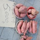 북문시장 이미지