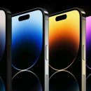 주식회사 퍼플오션 이미지