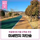 구)하동역~덕천빌딩 | 경남 하동 미세먼지 차단숲 산책로에서의 겨울 산책