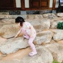 진남한옥 이미지