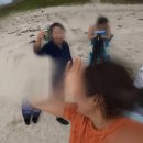 코난민박 이미지