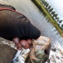 청도천10 이미지