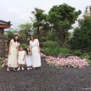 하도조아 이미지