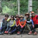 자작나무힐 이미지