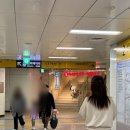 풍림아파트 128동 앞 횡단보도 | 기록 - 수지 ( 성복역 - 풍산, 벽산블루밍, 현대홈타운, 우남퍼스트빌 / 동천역 동아삼익풍림 아파트 )