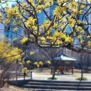 자미소 | 익산 태봉산 태봉사 胎峯山 胎峯寺, 천년의 전설을 품다