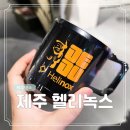 세상은 크리에이티브 | 헬리녹스 크리에이티브 센터 제주 매장 후기 한정판 에디션 컵