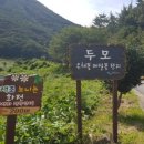 두모유채꽃메밀꽃단지