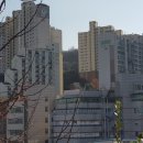 보라매온누리약국 이미지