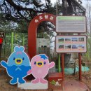 고성정비(종합정비업) | 속초 청대산 등산코스｜30분 정상 인증 + 속초 시내 전망 완벽한 가벼운 산