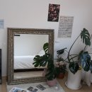 스테이브릴 이미지