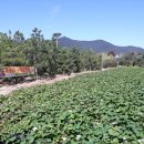 미동농장 이미지