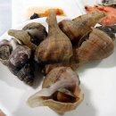 해운대초장 이미지