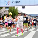 경주여자고등학교 | 2026 경주 벚꽃마라톤대회 하프 신청 성공 후기 및 일정 안내(10K 신청 꿀팁 有)