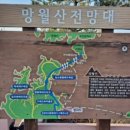 대금산진달래길(등산) 이미지