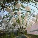 광양 참 숯불고기 이미지