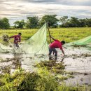 오리노코(orinoco) 이미지