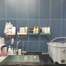 더 다듬 이미지