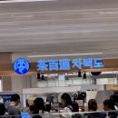 호로록망고사고 | [대구/신세계 백화점 카페] 차백도 대구 신세계점 연간 판매량 9200만 잔 망고 사고 후기