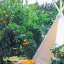 우 드림농장 이미지