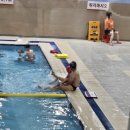 뉴발란스당진