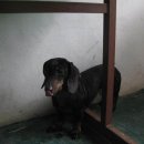 신천치안센터 이미지