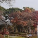 담소정 Daum카페