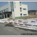 양덕동152 이미지