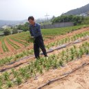 정준근농장 이미지