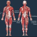 바른정형외과의원 이미지