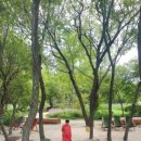 순천만 어싱길 맨발 걷기대회 이미지