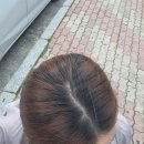 주영헤어샵 - 부평구 | 주영헤어샵