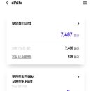 닥터포인트