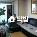 영등동-21 이미지