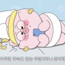 세종모터스 이미지