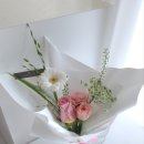 담다플레르