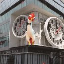 와이디자인 이미지