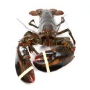 (주)앤시앤 이미지