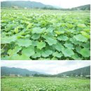 하나울 공원 이미지