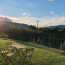 봉화1길 이미지