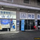 어강동물병원
