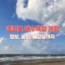 오토오아시스장항IC점 | 2025년 충청도 해수욕장 개장 안내 - 특징, 포인트, 꿀팁