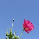 악양생태공원 이미지