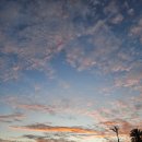 마라마라 이미지