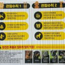 [부산] 2025펫앤모어 반려동물박람회 다녀왔어요! (참여업체/주차/행사/가격)