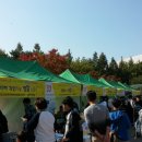 과학꿈나무공원 이미지