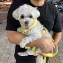 구남매 약국 | 근황18)24.08~