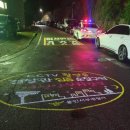 용인서부경찰서 이미지