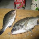 개매기체험장 이미지