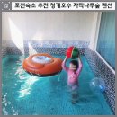 서울 근교 포천숙소 추천 청계호수 자작나무숲 펜션 가족여행 후기